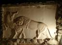 lion_bull.jpg