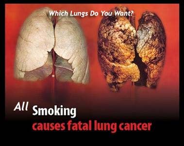 Cigarettes Facts