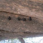 IMG_1798 IMG_1798