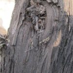 IMG_1800 IMG_1800