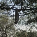 IMG_1805 IMG_1805