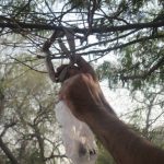 IMG_1806 IMG_1806