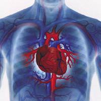 howcleanisyourheart2