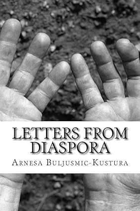Bosnian genocide book