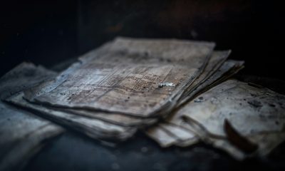 bosnian genocide
