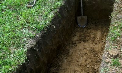 fight, life, death, grave