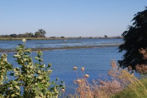 Sacramento River delta