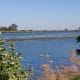 Sacramento River delta