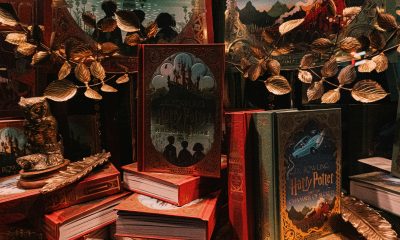 fantasy novel