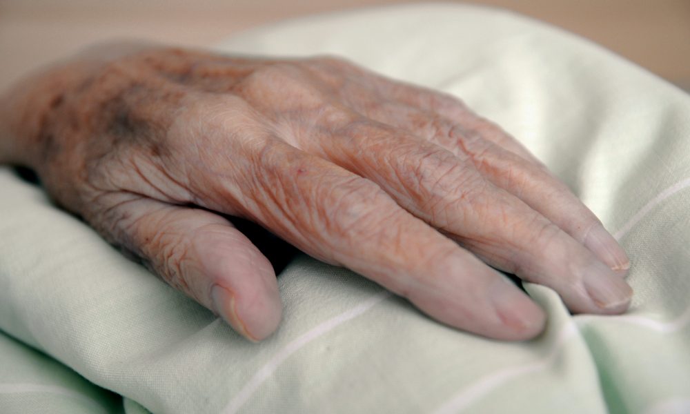 Palliative care essay