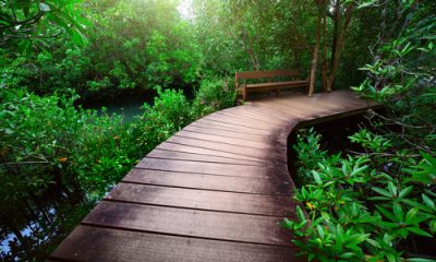 islamic online high school