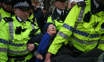 Pro-Palestine protestor arrested