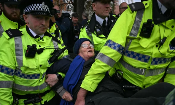 Pro-Palestine protestor arrested